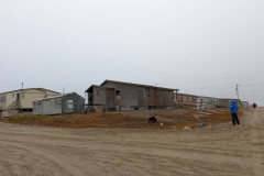 Nunavut, King William Island - Gjoa Haven - Kathleen & dog