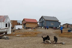 Nunavut, King William Island - Gjoa Haven - Kathleen & dogs