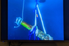 Info - Cannon recovered from Wreck of Franklin’s ship