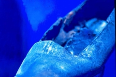 Info - Sipper recovered from Wreck of Franklin’s ship