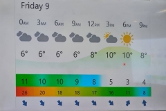 Info - Temp. for 9th