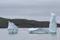 Greenland, Sisimiut  Coast  -  Baby, ma & pa icebergs