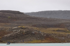 Nunavut, Port Epworth - Tundra flowers & plants
