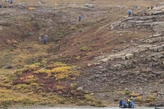 Nunavut, Port Epworth - Colourful tundra