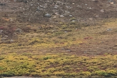 Nunavut, Port Epworth