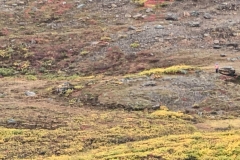 Nunavut, Port Epworth