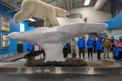 Northwest Territories (NT), Yellowknife -  Airport - Polar Bear Display