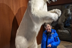 Northwest Territories (NT), Yellowknife - The Explorer Hotel - Display Polar Bear & Geri