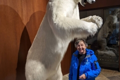 Northwest Territories (NT), Yellowknife - The Explorer Hotel - Polar Bear Display & Geri