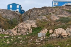 Greenland, Sisimiut - 3 Sled dogs