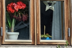 Greenland, Sisimiut - Window