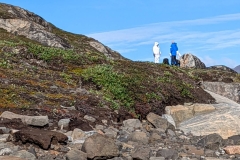 Greenland, Disko Bay- What!  Two Polar Bears?