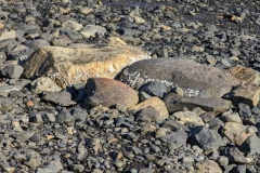 Greenland, Disko Bay - Shore Rocks