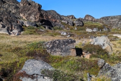 Greenland, IIulissat Rocky