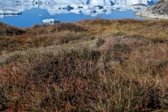 Greenland, IIulissat, Sermeq Kujalleq Glacier & Icefields