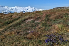 Greenland, IIulissat, Sermeq Kujalleq Glacier & Icefields