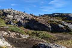 Greenlan  IIalissat , Sermeq Kujalleq Glacier & Icefields -  Jerry the Polar Bear