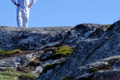 Greenland, IIalissat - Sermeq Kujalleq Glacier & Icefields - Polar Bear Jerry