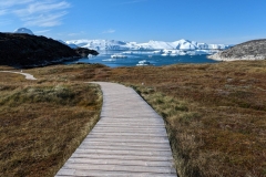 Greenland, IIalissat - Sermeq Kujalleq Glacier  & Icefields -   Long  walk  back
