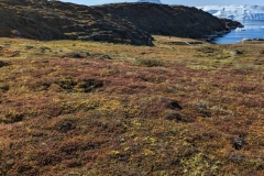 Greenland, IIalissat - Sermeq Kujalleq Glacier & Icefields