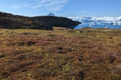 Greenland, IIalissat - Sermeq Kujalleq Glacier & Icefields