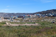 Greenland, IIalissat - Dog Sled Huts