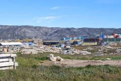 Greenland, IIalissat - Sled Dogs (look like Friday)