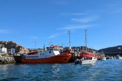 Greenland, IIalissat - Harbour