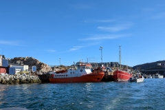 Greenland, IIalissat - Harbour