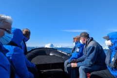 Greenland, IIalissat - Back to Ocean Endeavour by Zodiac