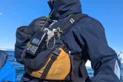 Greenland, IIulissat - Zodiac driver, Chris Scerri