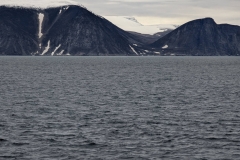 Canada, Nunavut - Baffin Island, Buchan Gulf - Sperm Whale Somewhere