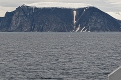 Canada, Nunavut - Baffin Island, Buchan Gulf - Sperm Whale Spray