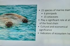 Science Info