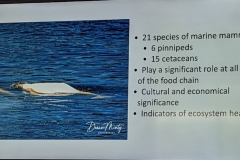 Science Info