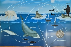 Science Info