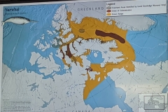 Science Info - Narwhal