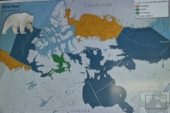 Science Info - Polar Bear
