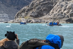 Greenland, Kangerlussuatsiaq - Zodiacn Cruise