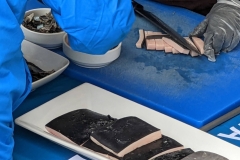Ocean Endeavour - Inuit food Sampling