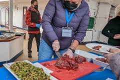 Ocean Endeavour - Inuit food Sampling - Cranberry Salad & Caribou - Sheila