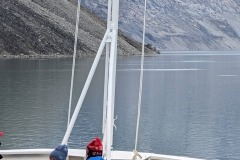 Canada, Nunavut - Baffin Island, Icy Arm Fjord - Narwhals
