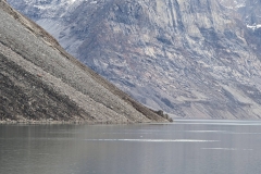 Canada, Nunavut - Baffin Island, Icy Arm Fjord - Narwhals