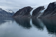 Canada, Nunavut - Baffin Island, Icy Arm Fjord - Narwhals