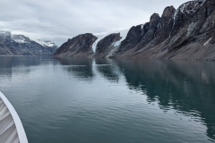 Canada, Nunavut - Baffin Island, Icy Arm Fjord - Narwhals