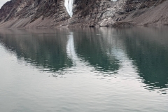 Canada, Nunavut - Baffin Island, Icy Arm Fjord - Narwhals