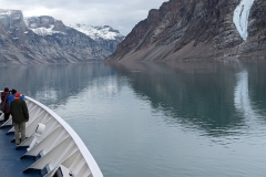 Canada, Nunavut - Baffin Island, Icy Arm Fjord - Narwhals