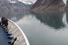 Canada, Nunavut - Baffin Island, Icy Arm Fjord - Narwhals