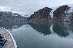 Canada, Nunavut - Baffin Island, Icy Arm Fjord - Narwhals