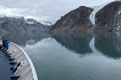 Canada, Nunavut - Baffin Island, Icy Arm Fjord - Narwhals